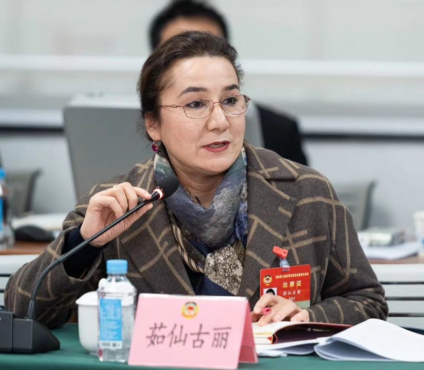 2024年深圳市政协七届四次会议,茹仙古丽发言,桌牌与出席证均印其名