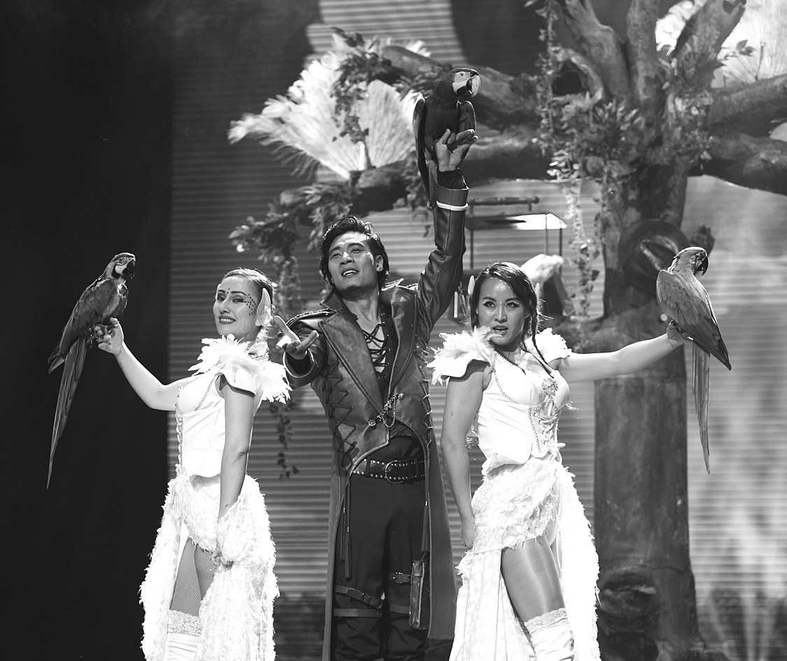 Witnessing the New Development of Magic in Guangdong, Hong Kong, Macao and Taiwan — A Review of the 2016 Guangdong–Hong Kong–Macao–Taiwan Magic Exchange Showcase, photo 1