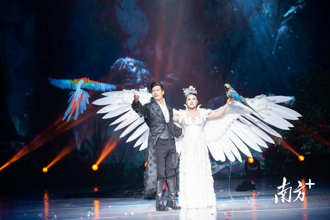 Why has Shenzhen magic taken the "Golden Chrysanthemum" crown a second time? — Photo 1