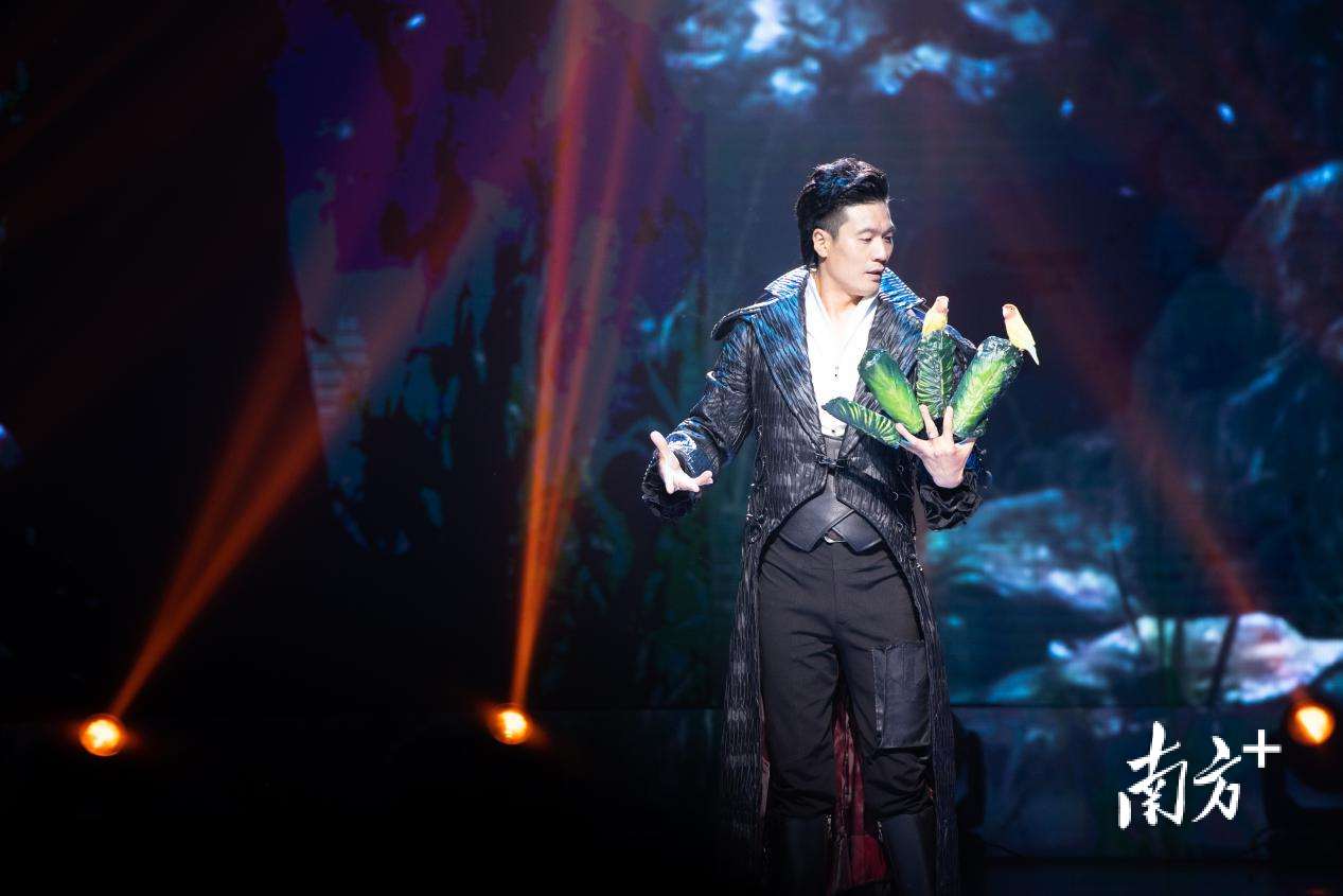 Why has Shenzhen magic taken the "Golden Chrysanthemum" crown a second time? — Photo 2