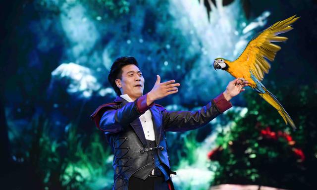 Thrilling and Astonishing! "Brilliant Nights in Jilin" Stages a Special Acrobatics and Magic Performance, photo 1