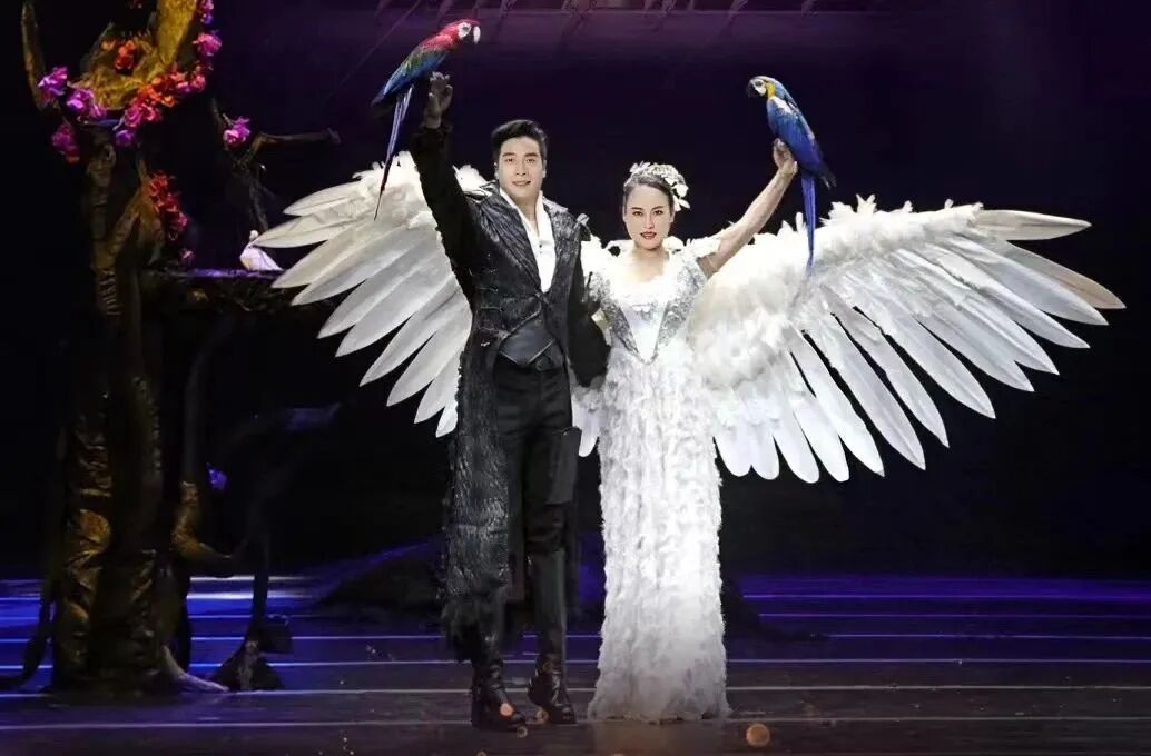 Hu Linglong, Outstanding Magician of the China National Acrobatic Troupe, Awarded the Honorary Title "Leading Magic Talent of the New Era" — image 2